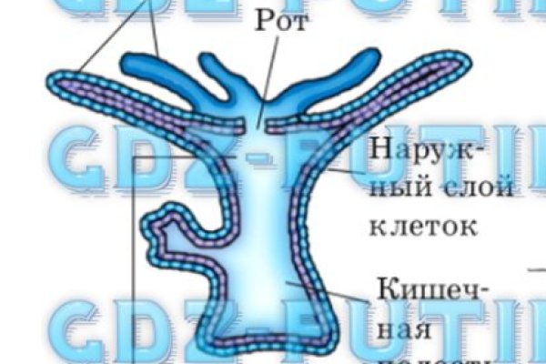 Кракен вывод средств