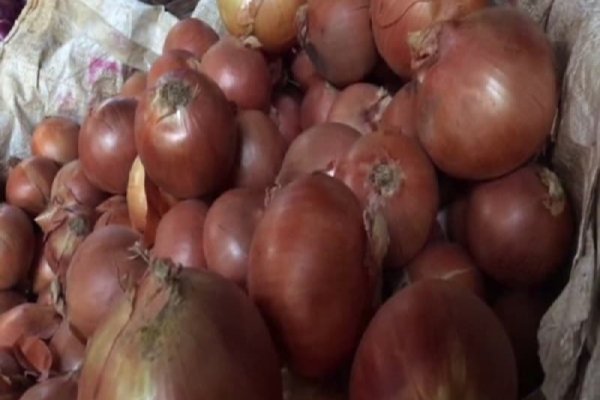 Кракен купить наркотики