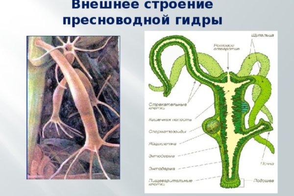 Кракен рабочий сайт