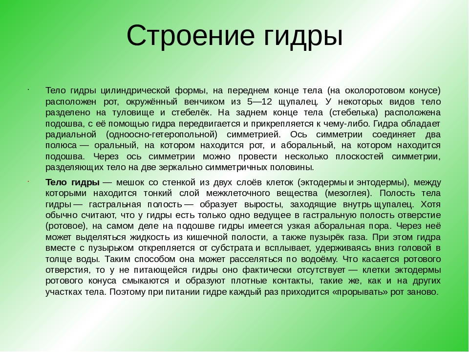 Ссылки для tor
